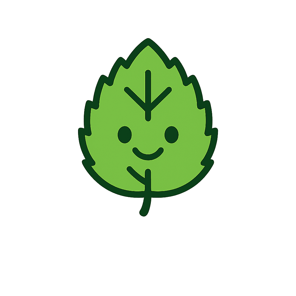 Professional studio lighting equipment