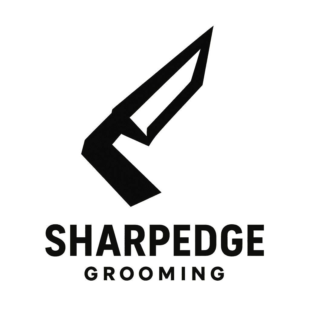 Creator reviewing content in studio